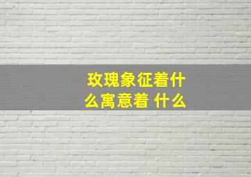 玫瑰象征着什么寓意着 什么